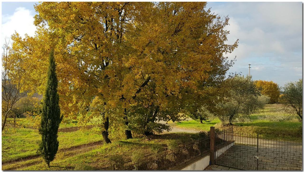 Villino Cortona - Casa Vacanze A Cortona Con Piscina Privata Wifi, Ac - Toscana - Nelle Vicinanze Perugia, Assisi, Montepulciano, Pienza, Siena Εξωτερικό φωτογραφία